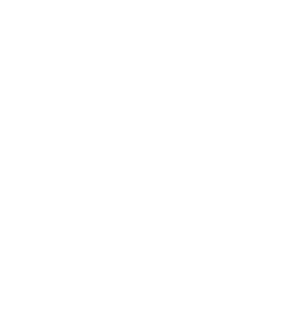 سكيور logo